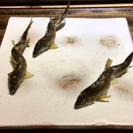 御料理 光安 - 滋賀・石田川の若鮎