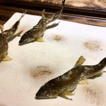 御料理 光安 - 滋賀・石田川の若鮎