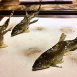 御料理 光安 - 滋賀・石田川の若鮎