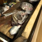 うを徳 - 天然鰻