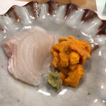 うを徳 - 淡路島産ホシガレイ&利尻産赤海胆