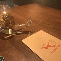 biodinamico - 