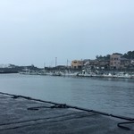 田子の浦港 漁協食堂 - 寒かった雨の漁港