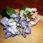 中島町倶楽部 - 紫陽花を飾ってくれた❣️