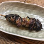 かぶと - 天然のヒレ