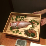 のどぐろ専門 銀座中俣 はなれ - 