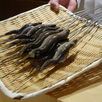 銀座 しのはら - 鮎