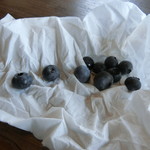 きのこの里 鈴加園 - ブルーベリー(サービス)