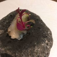 ル スプートニク - 