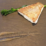 レストランRyu - 