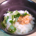 Ochazuke（boiled rice with tea）(plum)