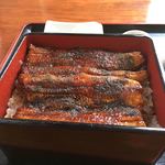 うなぎ あけぼの - うな重上アップ