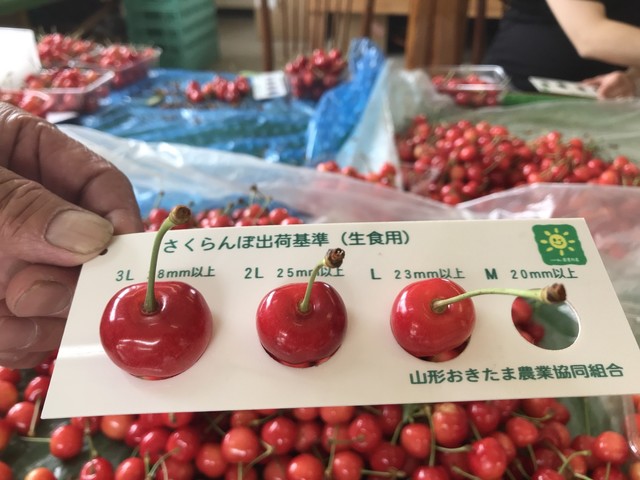 中根農園 - 西米沢（その他）の写真