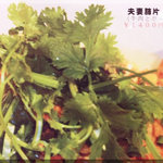 川菜館 - menu(2011/7/27)