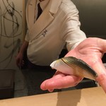 紀尾井町 三谷 - 