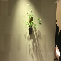 小熊 - 