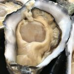 Sydney Fish Market - 