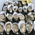 Sydney Fish Market - 