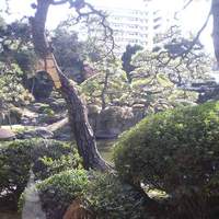 All Day Dining shizuku - 庭園