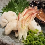 風来坊 - ハモの湯引き（日替わり）500円