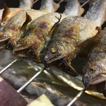 手料理 右近 - 料理写真:琵琶湖鮎の炭火焼き　
その名の通り活けの鮎をじっくりと焼き上げました。
頭はサクッと唐揚げ状に焼き上げ、ほろ苦さが鮎の甘味を引き立ててくれます。