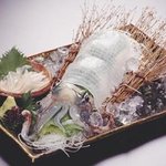 魚の蔵 - 料理写真:あおりいかの活き造り　2,800円より　　下足の吸盤にご注意！