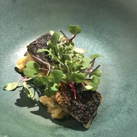 長谷川 稔 - 
