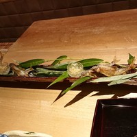 弧玖 - 