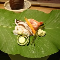 弧玖 - 