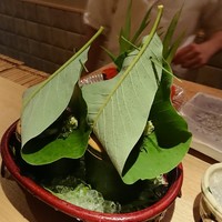 弧玖 - 