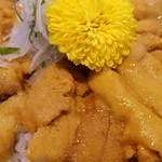 志のや - 黄金のどんぶり「キラキラウニ丼」