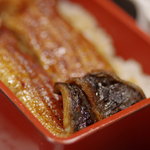 つるや - 淀川（よどがは）の天然鰻（てんねんむなぎ）
