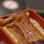 つるや - 淀川（よどがは）の天然鰻（てんねんむなぎ）