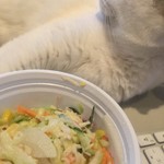 からあげ&弁当 トリとん - 