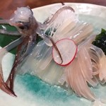 海鮮処 函館山 - 活いか刺し