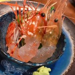 活ぼたん蛯刺880円（税込）