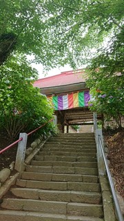 快飛 - 飯上山 長谷寺（飯山観音)