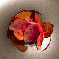 EPURE - 