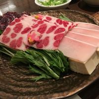 新どおぞの - 
