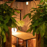 夜景×チーズ肉バル GARDEN 三宮