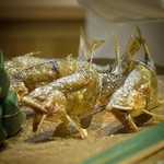 富小路 やま岸 - 