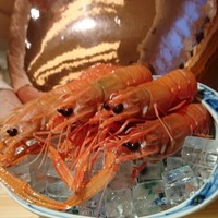 たきや - 