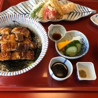 日本料理 さむらい - 