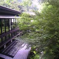 和田屋 - 【喫茶部門】窓からの景色