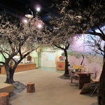 紀州梅干館 - 梅の木