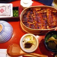 うなぎ和食  しら河 今池ガスビル店 - 特上ひつまぶし