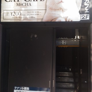 猫カフェ By M Ito Yokohama Jp 猫カフェmocha 秋葉原店 Cat Cafe Mocha 秋葉原 その他 食べログ 猫カフェ By M Ito Yokohama Jp 猫カフェmocha 秋葉原店 Cat Cafe Mocha 秋葉原 その他 食べログ