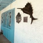 Wahoo's Fish Tacos - 