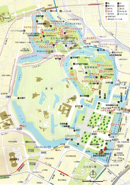 楠公レストハウス 千代田区皇居外苑 By まりあん 楠公レストハウス 日比谷 和食 その他 食べログ 楠公レストハウス 千代田区皇居外苑 By まりあん 楠公レストハウス 日比谷 和食 その他 食べログ