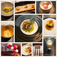 セルサルサーレ - 